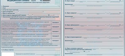 Какие инстанции рассматривают документы на гражданство по госпрограмме